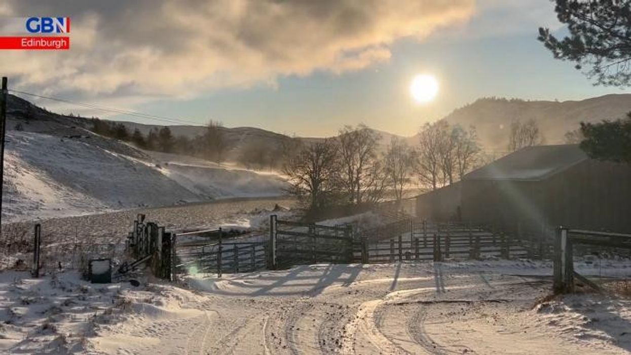 Scotland botanic gardens won't recover for YEARS after Storm Eowyn wreaked weather chaos - 'Our 160-year-old tree snapped in two!'