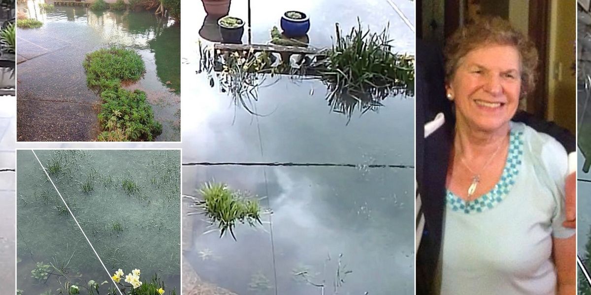 NextImg:Pensioner forced to leave home after being told she 'may die' before sewage leak fixed