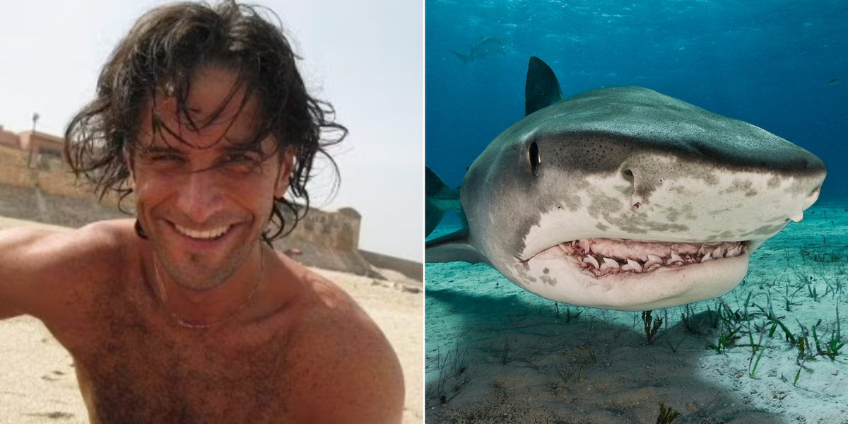 NextImg:EU official killed and man hospitalised after horror shark attack at popular holiday resort in Egypt