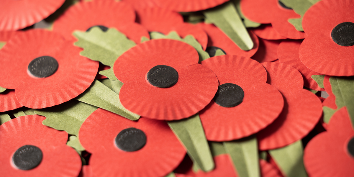 NextImg:Woke Gen Zs shun poppies as links to Brexit and St George make them 'uncomfortable'