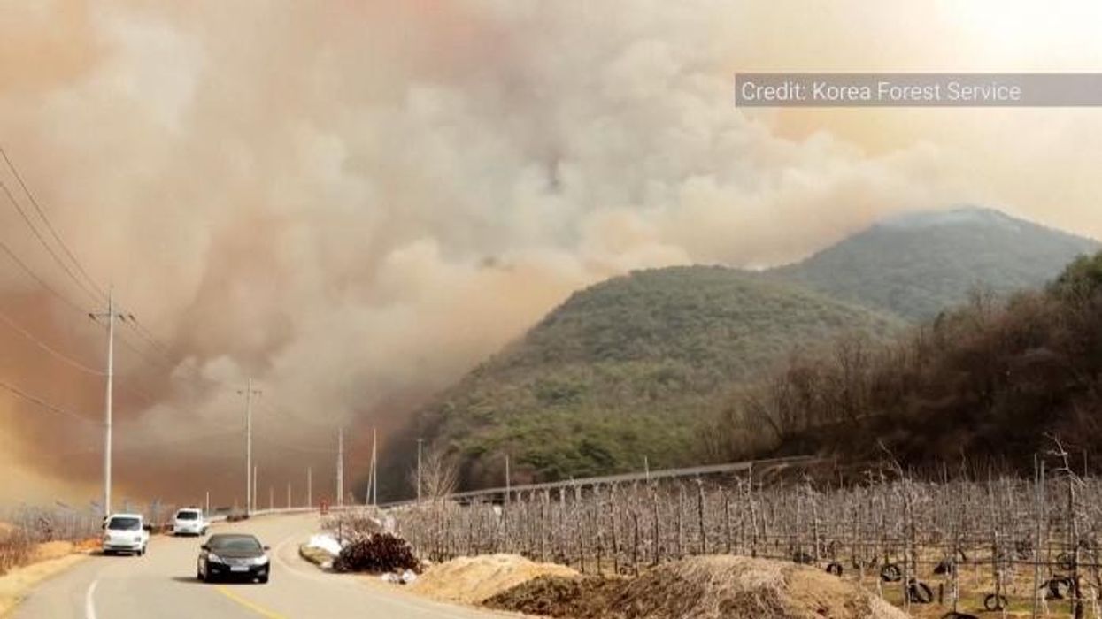 At least 23 people killed as 'worst ever' wildfires hit South Korea causing 'unprecedented damage'