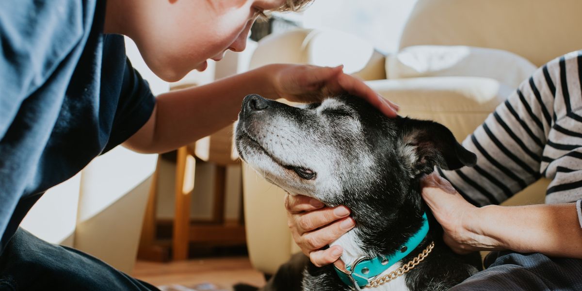 NextImg:Dog walkers issued urgent warning over 'flesh eating disease' as new cases confirmed in UK