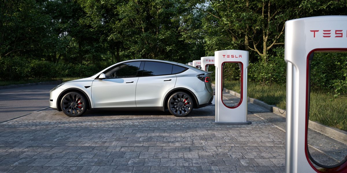 NextImg:Tesla sales hit record highs in January despite Elon Musk's growing unpopularity - 'Don't see politics'