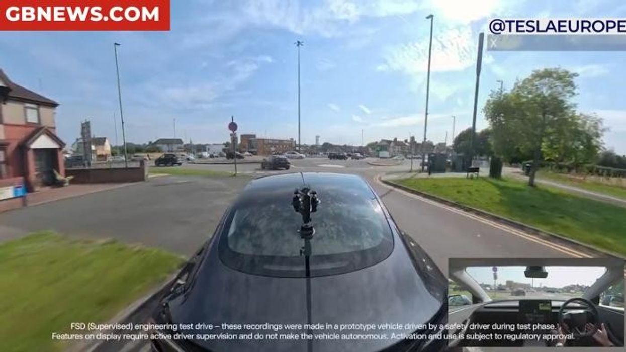 Tesla investigated as door handles 'trap children inside cars' with drivers forced to smash windows