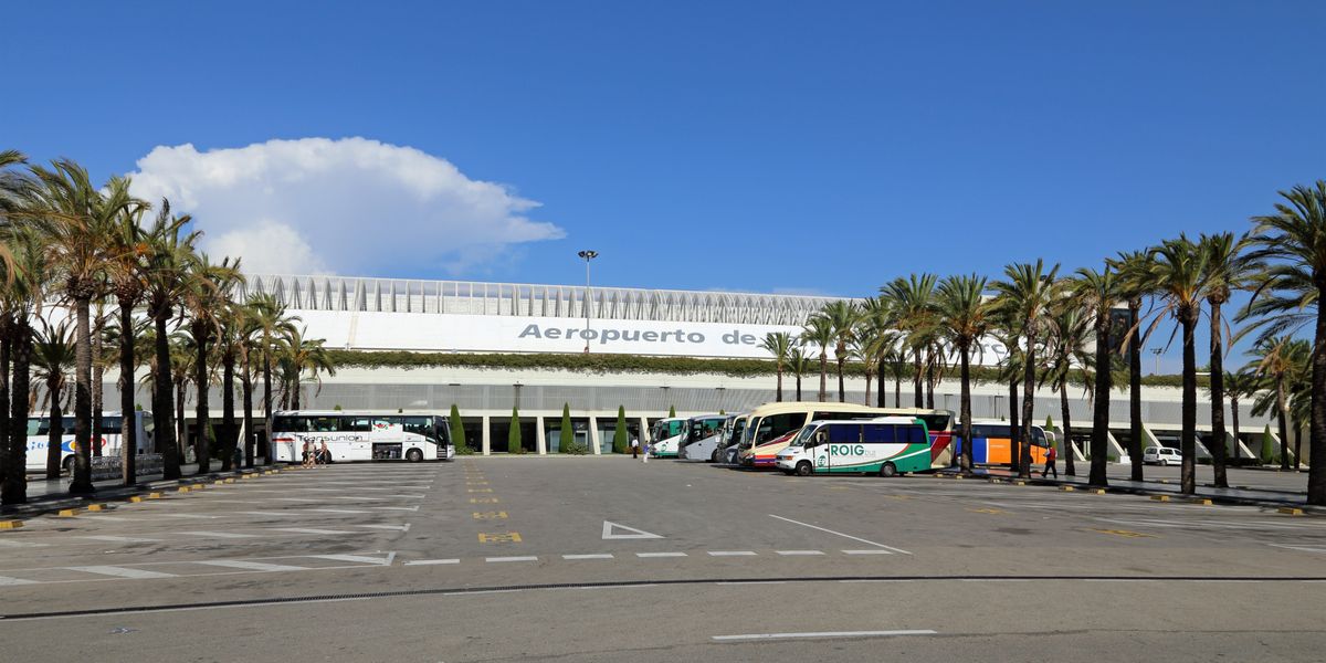 NextImg:Woman drinks coffee filled with INSECTS from Majorca airport which leaves her 'fighting for her life'