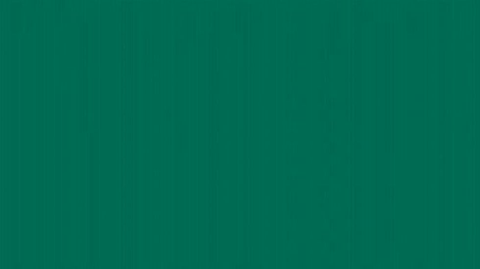 Pensioner, 86, convicted by DVLA after car insurance paperwork had 'one letter incorrect'