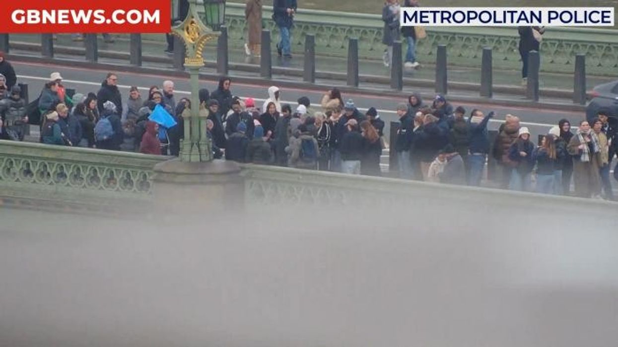 Police go undercover as 'Batman and Robin' to catch street scammers on Westminster Bridge