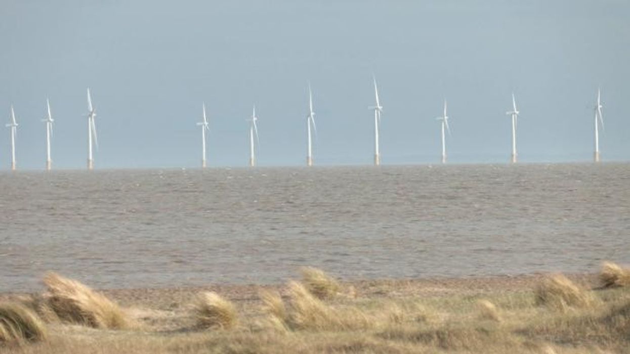 Taxpayers tipped to pay out eye-watering £60bn for 'electrical spine' of pylons across Britain