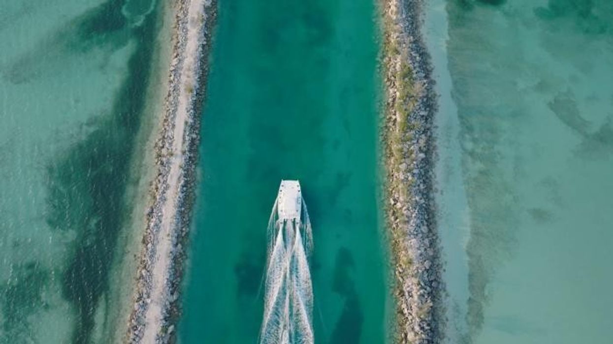 Prince William's Earthshot award shatters nominations record