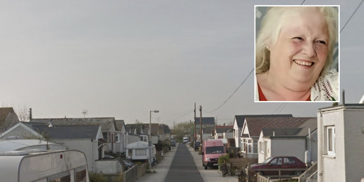 NextImg:XL Bully attack leaves Essex town in 'huge shock' after grandmother mauled to death