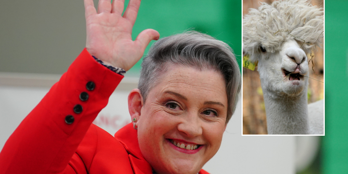NextImg:Starmer's new Health Minister claimed people can identify as LLAMAS after replacing Gwynne following WhatsApp sacking