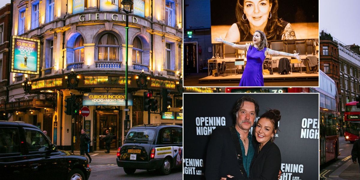 NextImg:Brexit now blamed for West End FLOP after audiences WALKED OUT as musician blasts 'England's narrow outlook'