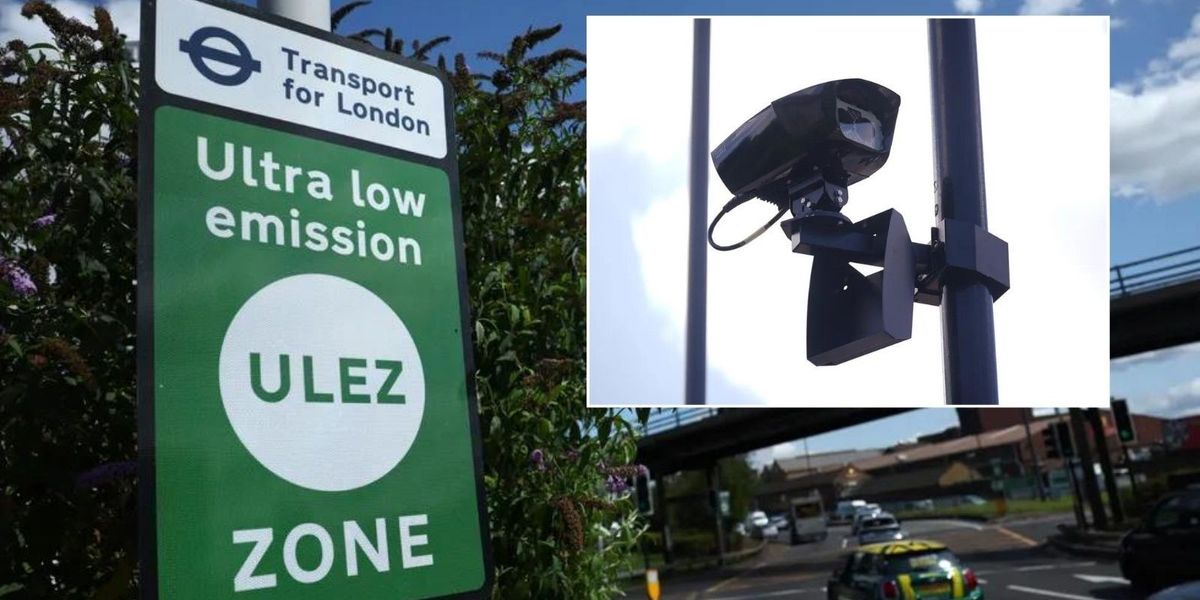 NextImg:Ulez protesters cover cameras with 'protected' bat boxes to thwart attempts to fix broken cameras