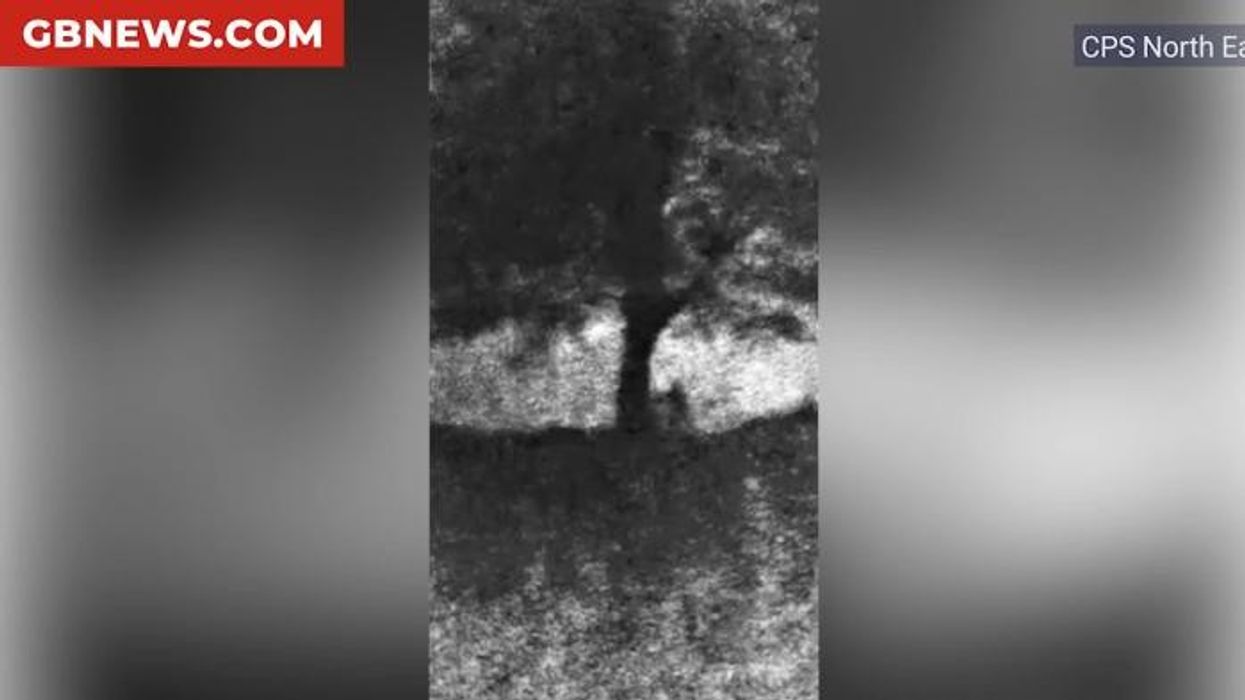 WATCH: Sycamore Gap fellers took 'wedge' as trophy as footage shows tree chopped down in just 3 minutes