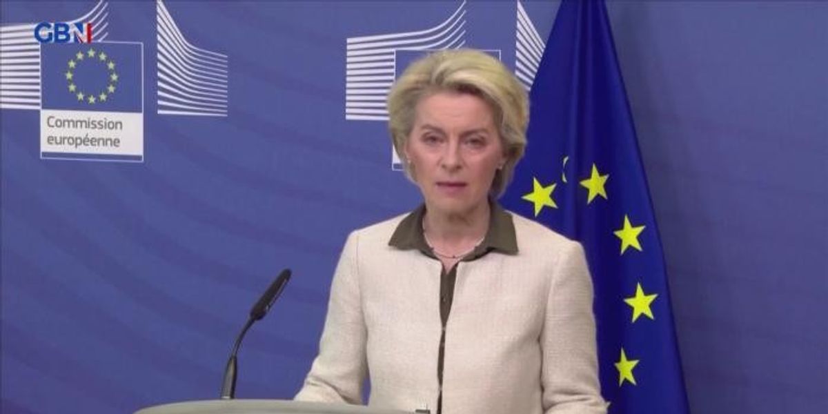 NextImg:The liberal coalition seeking to undermine Von der Leyen's bid for five more years in office
