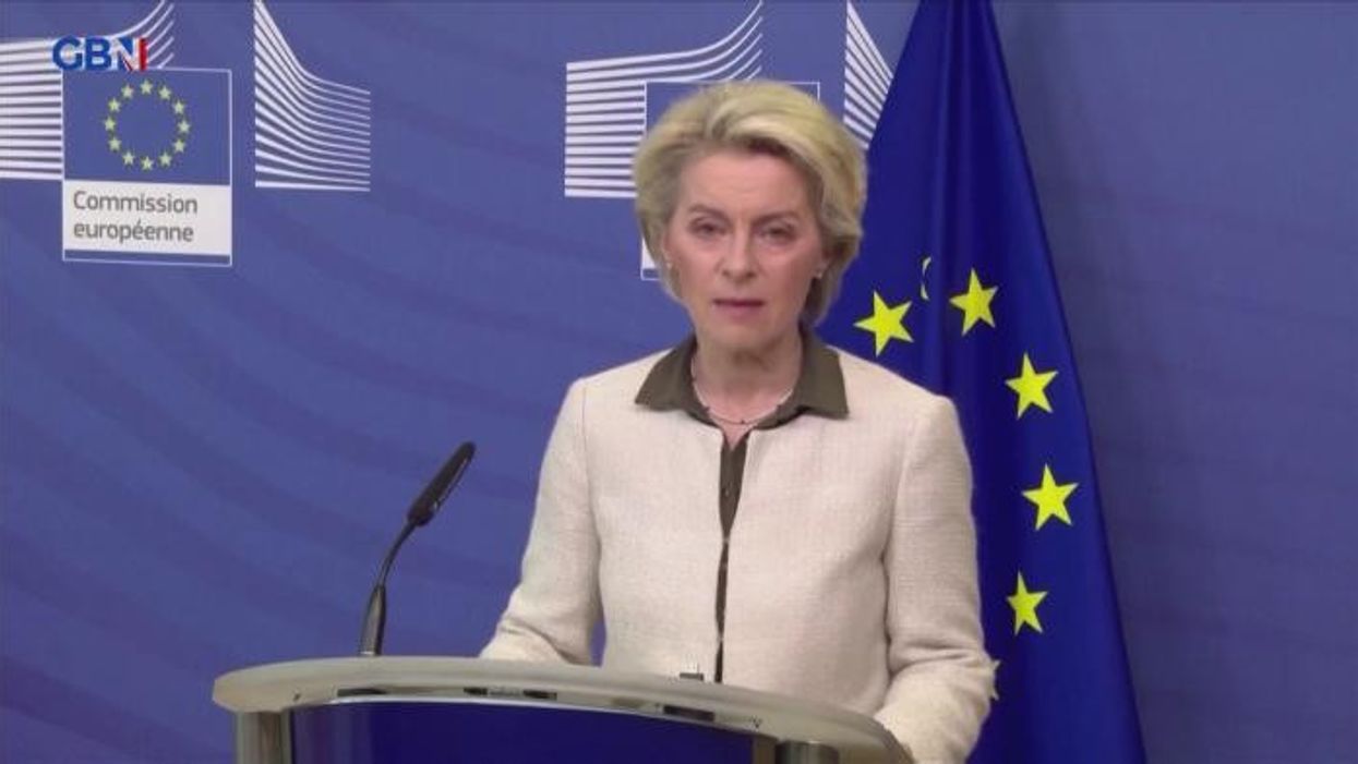 Is the EU just a big bully? Brussels plan to cripple Hungary reveals the treatment of those that don't agree