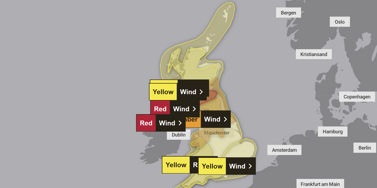 NextImg:Storm Eowyn: Met Office issues extremely rare RED WARNING as 100mph winds to smash UK - 'Stay indoors!'