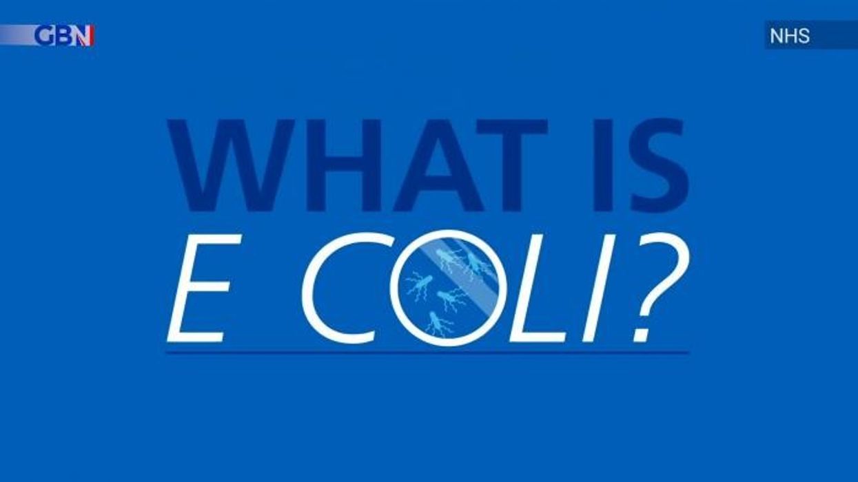 Christmas market leaves girl 'fighting for her life' after 'catching E coli' during visit