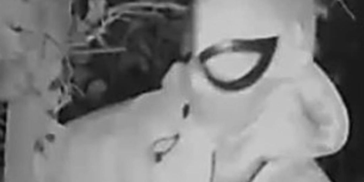 NextImg:'Spiderman' stalker admits targeting woman with creepy parcels on her doorstep