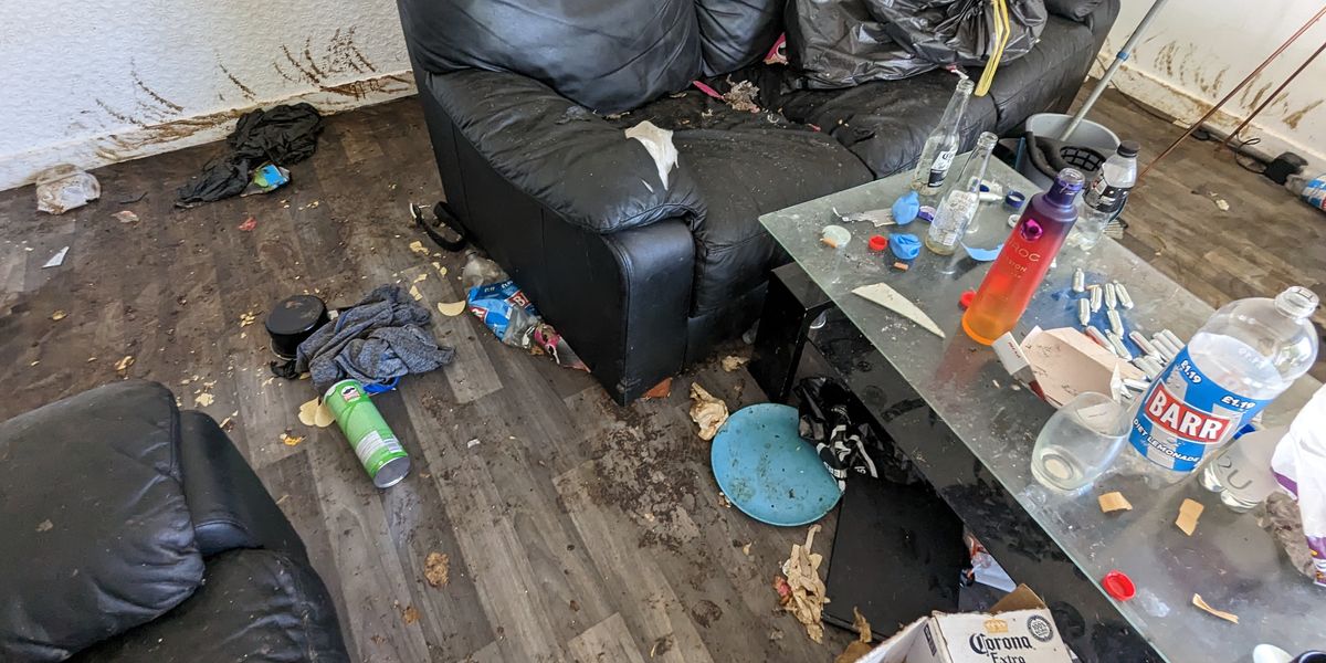 NextImg:XL Bully dog left to die in 'filthy' flat covered in rubbish