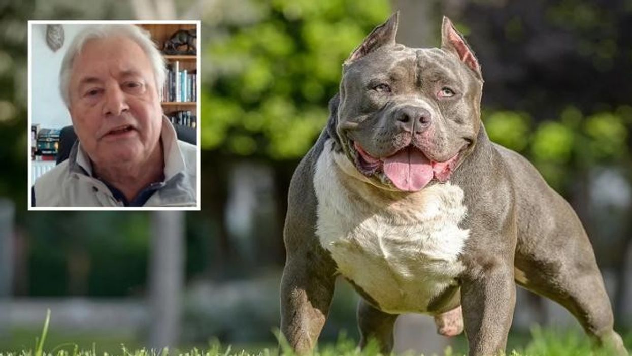 XL Bully dog owner in violent outburst in court after pet ordered to be put down