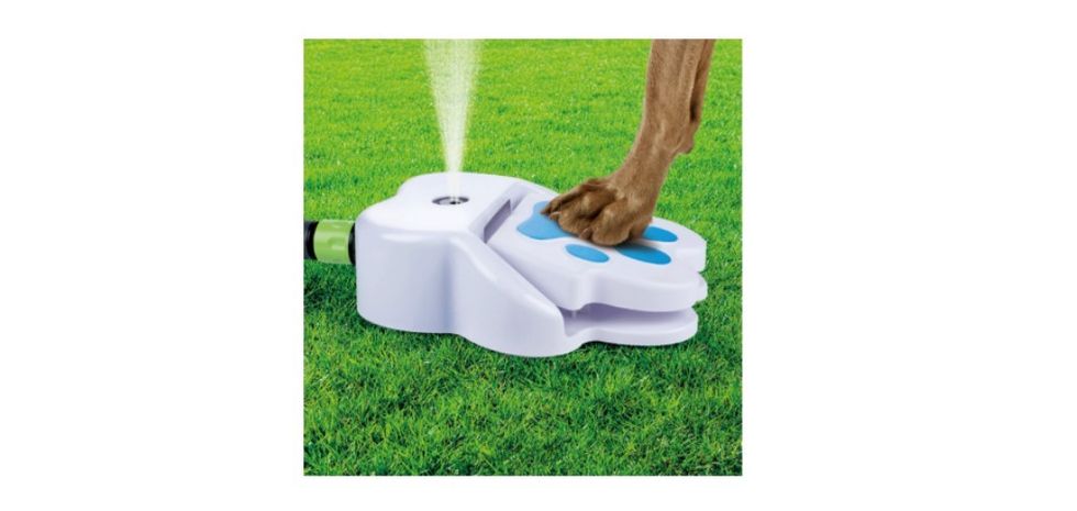 Water Fountain, Aldi's Pet Shop range