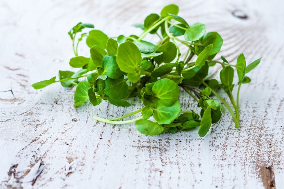 Watercress