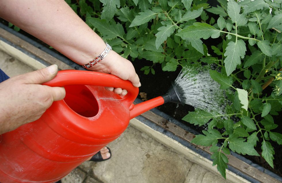 Watering flower bed