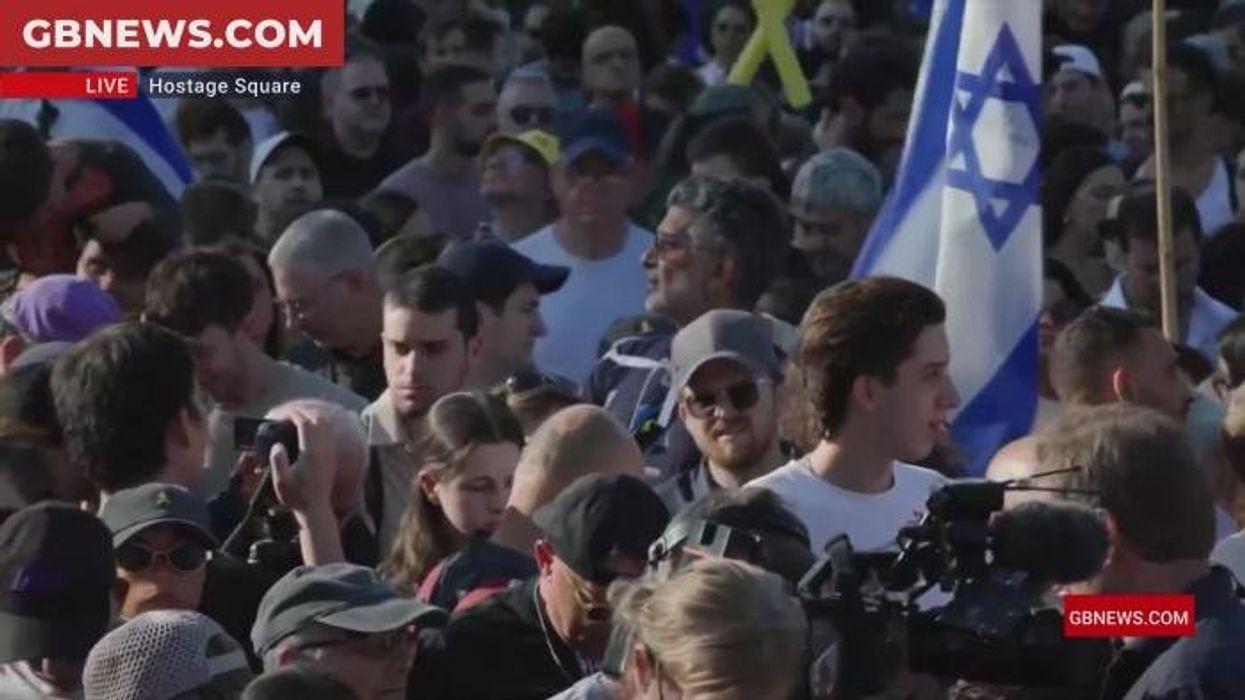 'We have done nothing!' Dawn Neesom dismisses claims Britain has 'played a key role' in Gaza ceasefire