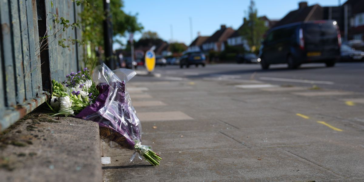NextImg:London news: Met officers face criminal investigation after pregnant woman and baby die in police collision