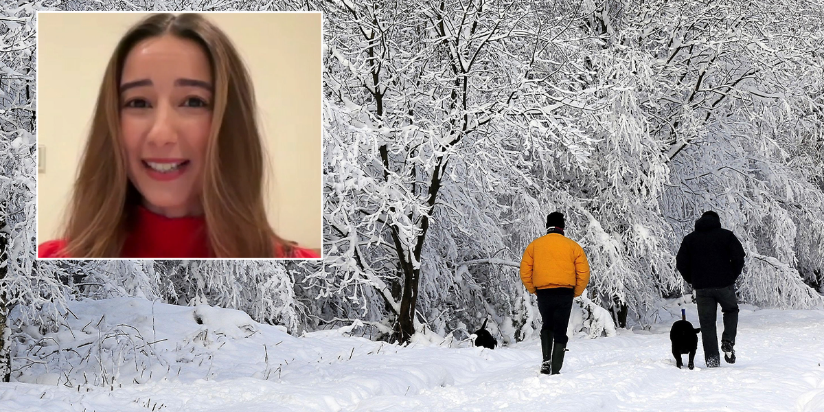 NextImg:Christmas weather: Snow verdict delivered by weather expert ahead of Arctic plunge - WATCH