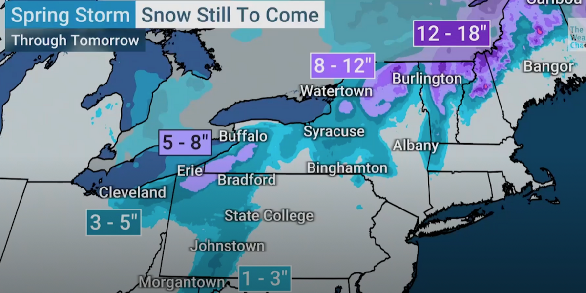 NextImg:US weather: America to be hit with late winter snow as SSW smashes into northeast