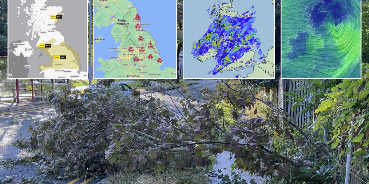 NextImg:UK weather forecast: Thousands plunged into blackout and hit by travel carnage as Storm Lilian's 80mph hurricane-force winds strike