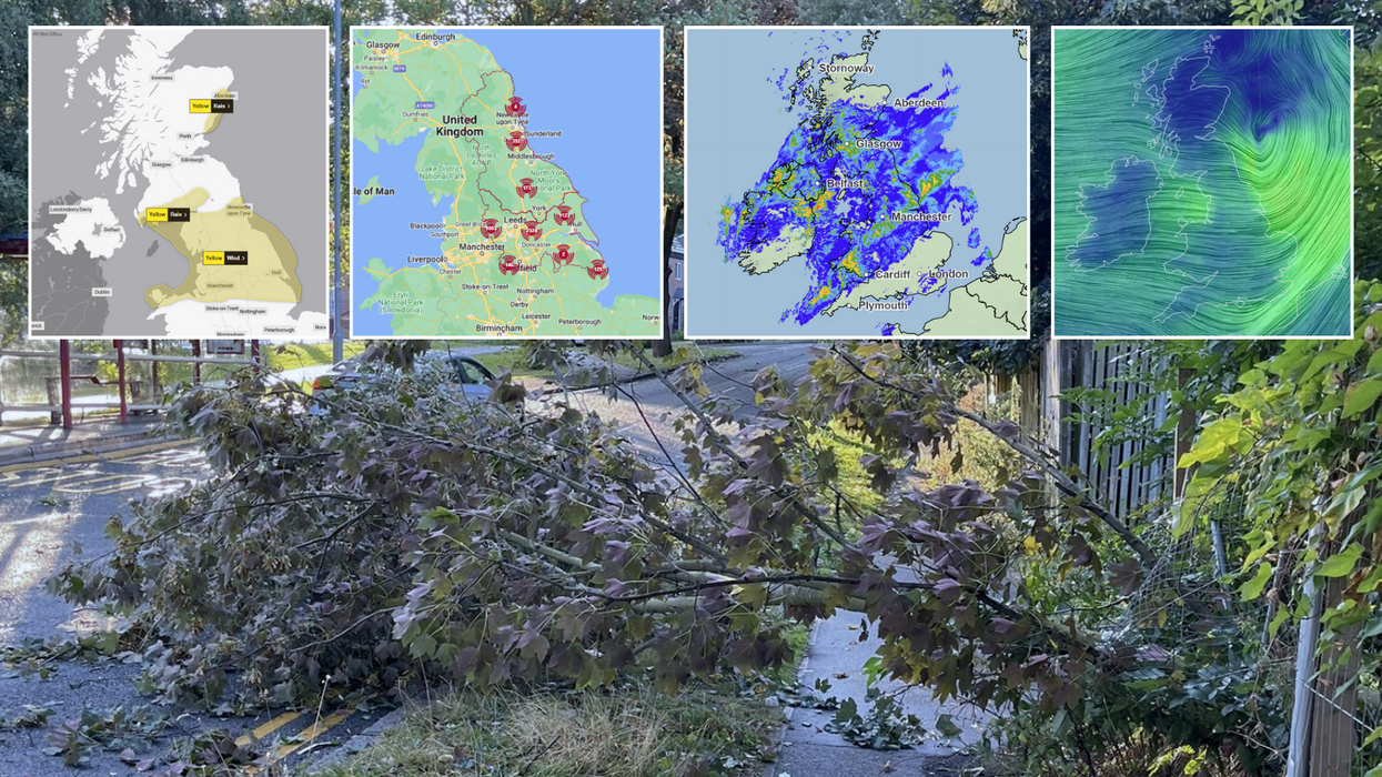 Weather maps/trees down