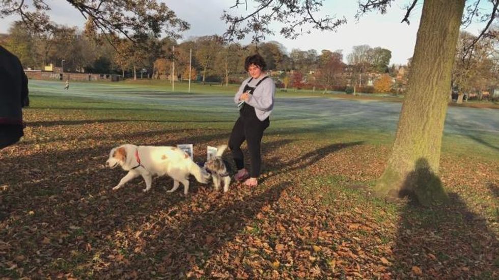 Scotland passes law to speed up rehoming of abused pets