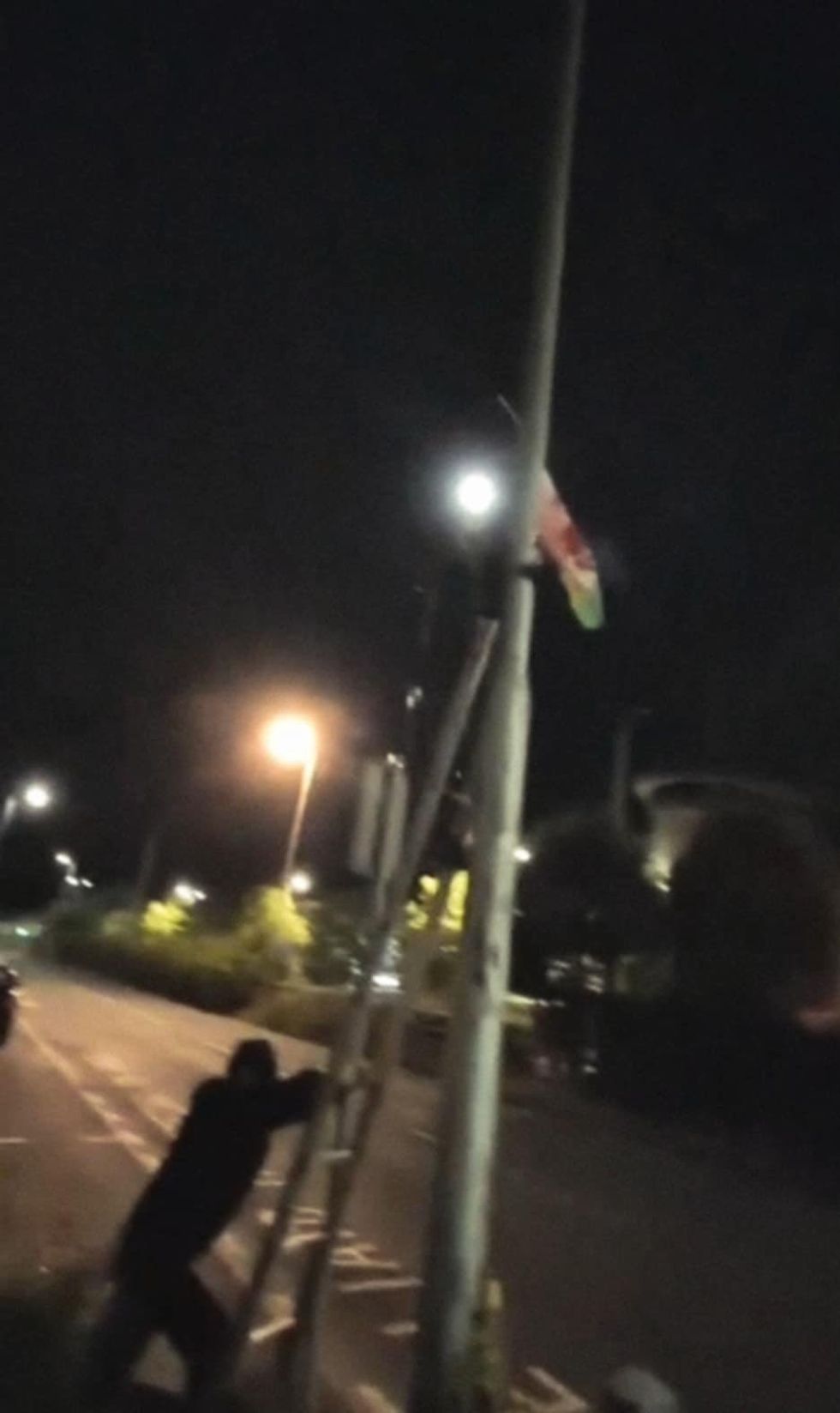 Welsh flags have been taken down by Carmarthenshire County Councillor