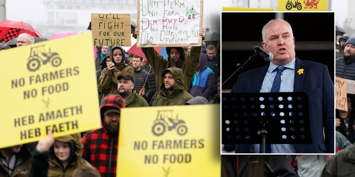 NextImg:‘Welsh farmers are being blackmailed just to tick Labour’s eco-boxes,’ writes Andrew RT Davies