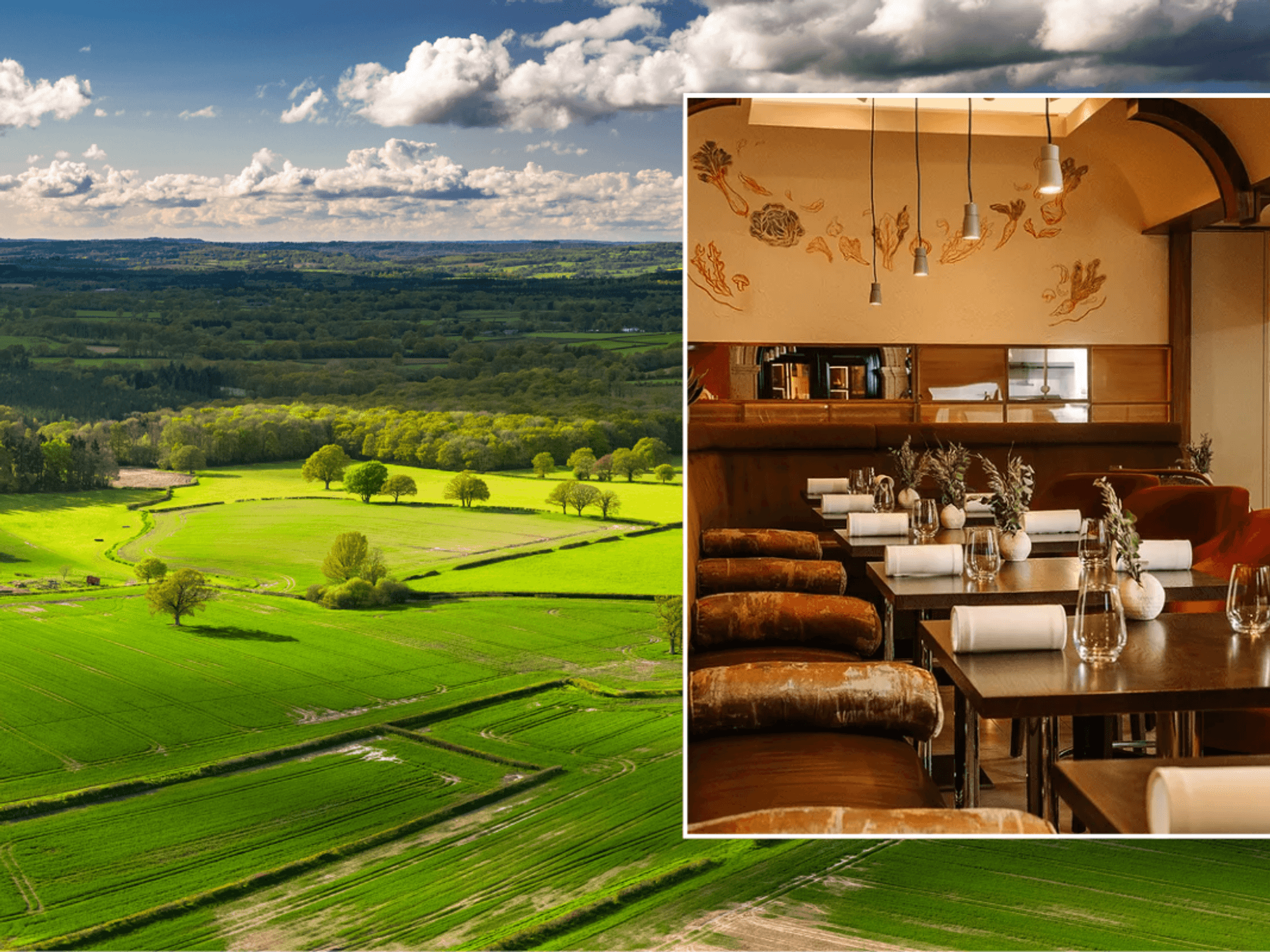 West Sussex countryside / The Pass