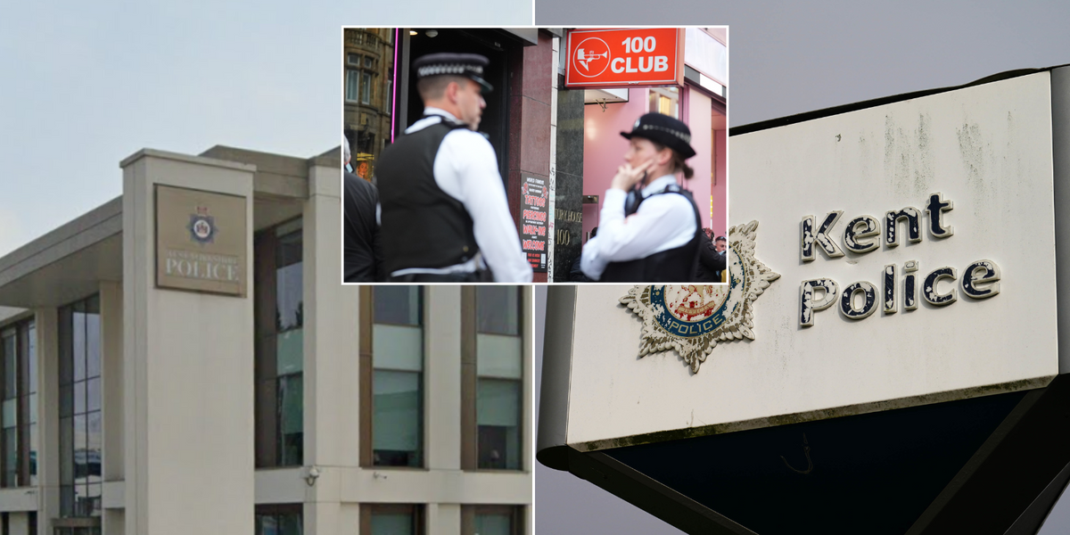 NextImg:UK police forces spend more than £10MILLION on DEI jobs - enough to hire 354 officers to patrol our streets