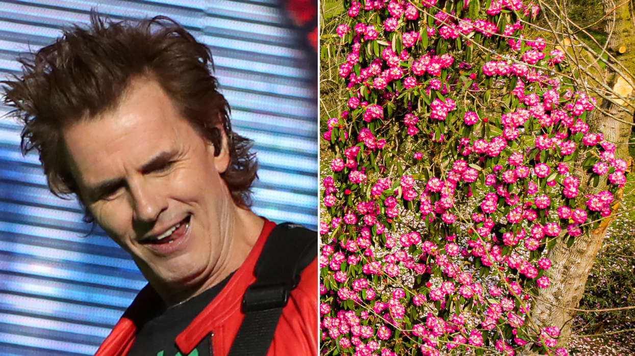 Westonbirt Arboretum John Taylor