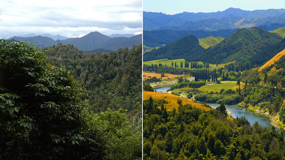 Whanganui River/Te Urewera