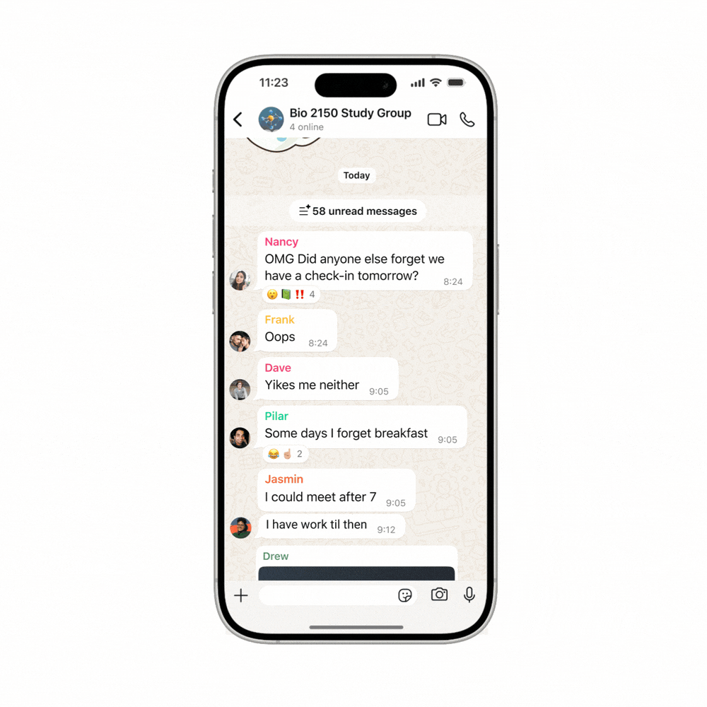 WhatsApp chat summaries