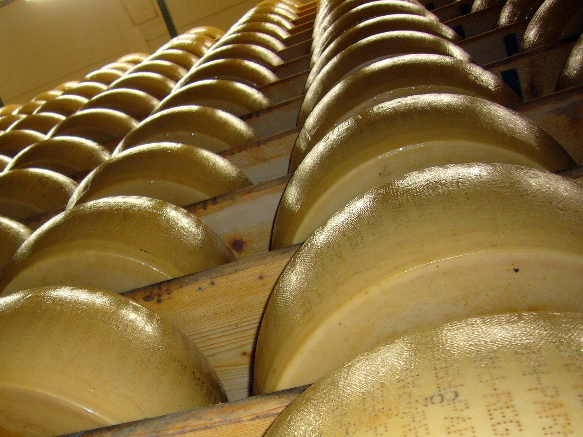 Wheels of cheese stacked