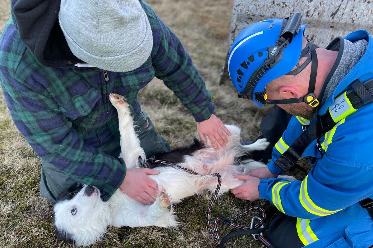 Whisp the dog cared to by his owner and rescuer