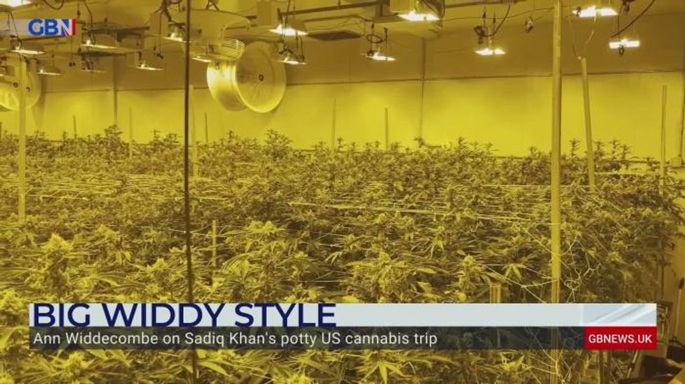 Ann Widdecombe tears into Sadiq Khan for cannabis comments: ‘He’s not a young hippy!’