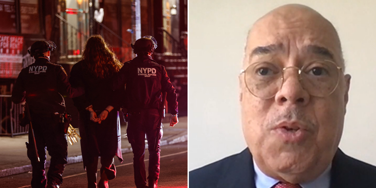 NextImg:New York City crime: 'Law has changed to benefit criminals' says NYPD veteran