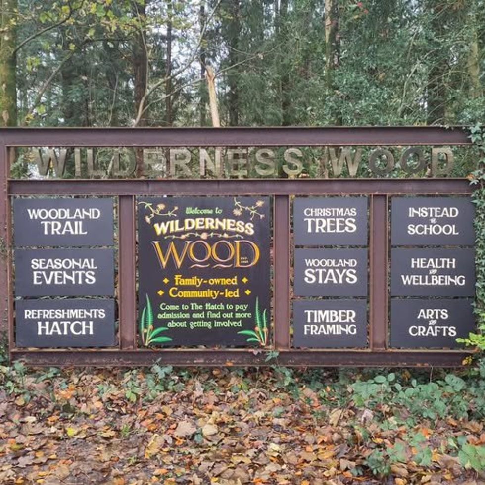 Wilderness Wood