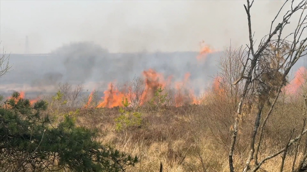 Wildfires in Scotland