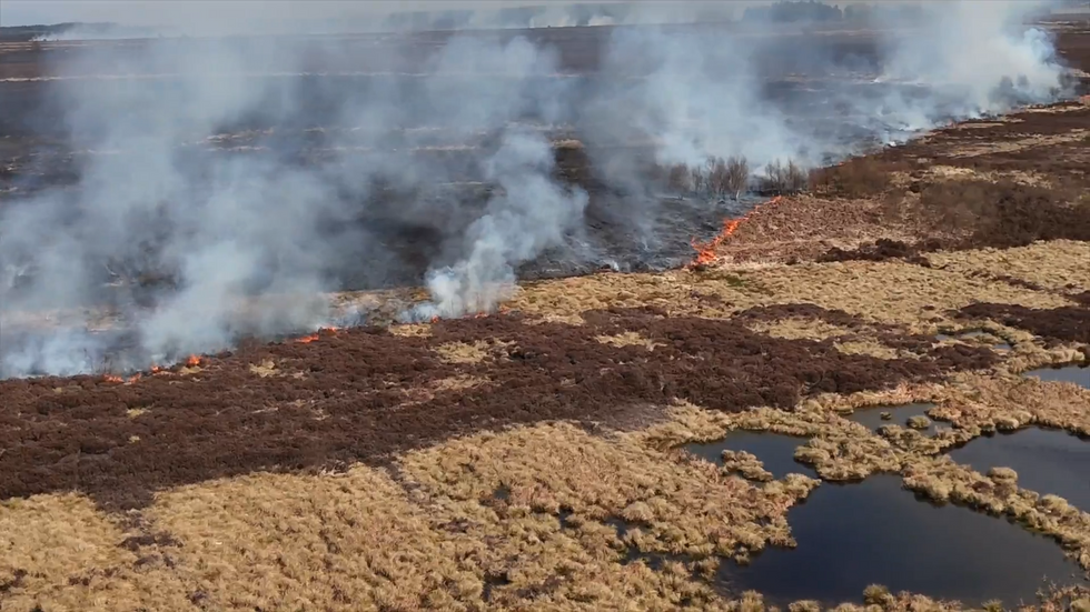 Wildfires in Scotland