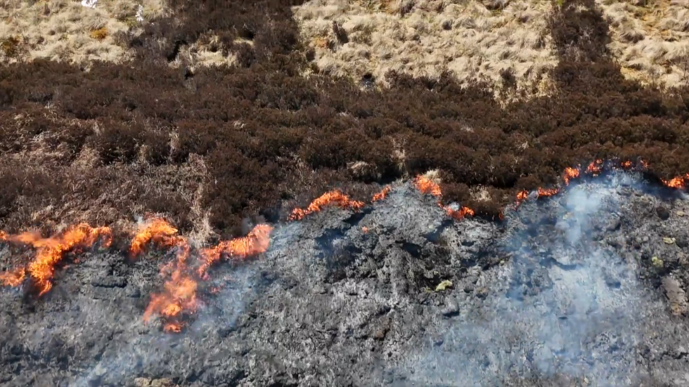 Wildfires in Scotland